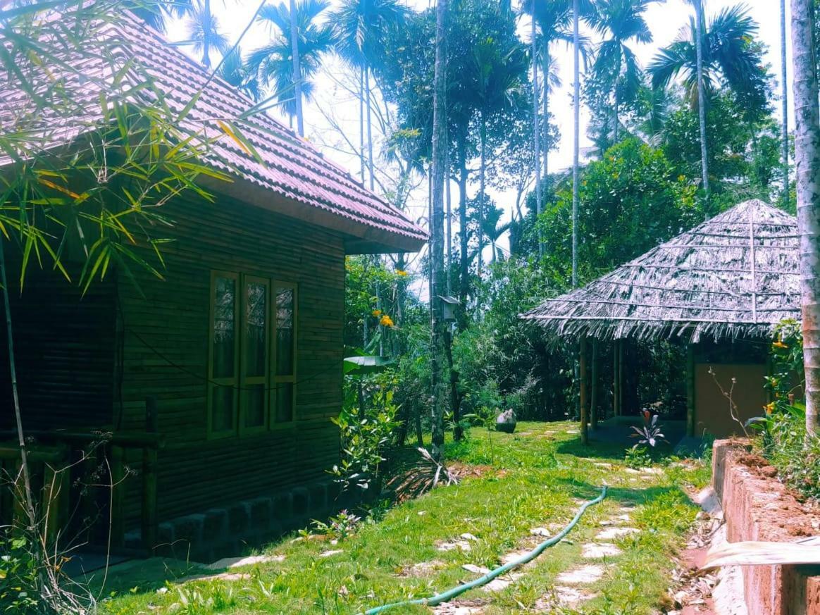 Misty Mornings Resort Ambalavayal Exterior photo
