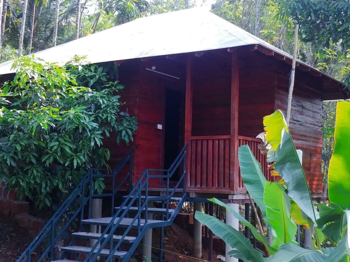 Misty Mornings Resort Ambalavayal Exterior photo